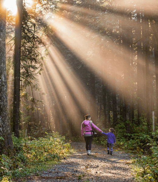 natur-fit-wald-fraumitkind natur-fit-wald-fraumitkind